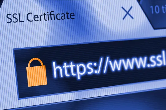 Website Security | Without Limits Marketing